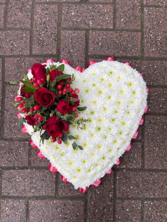 Red Based Heart