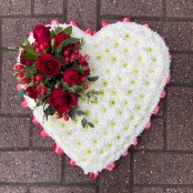 Red Based Heart